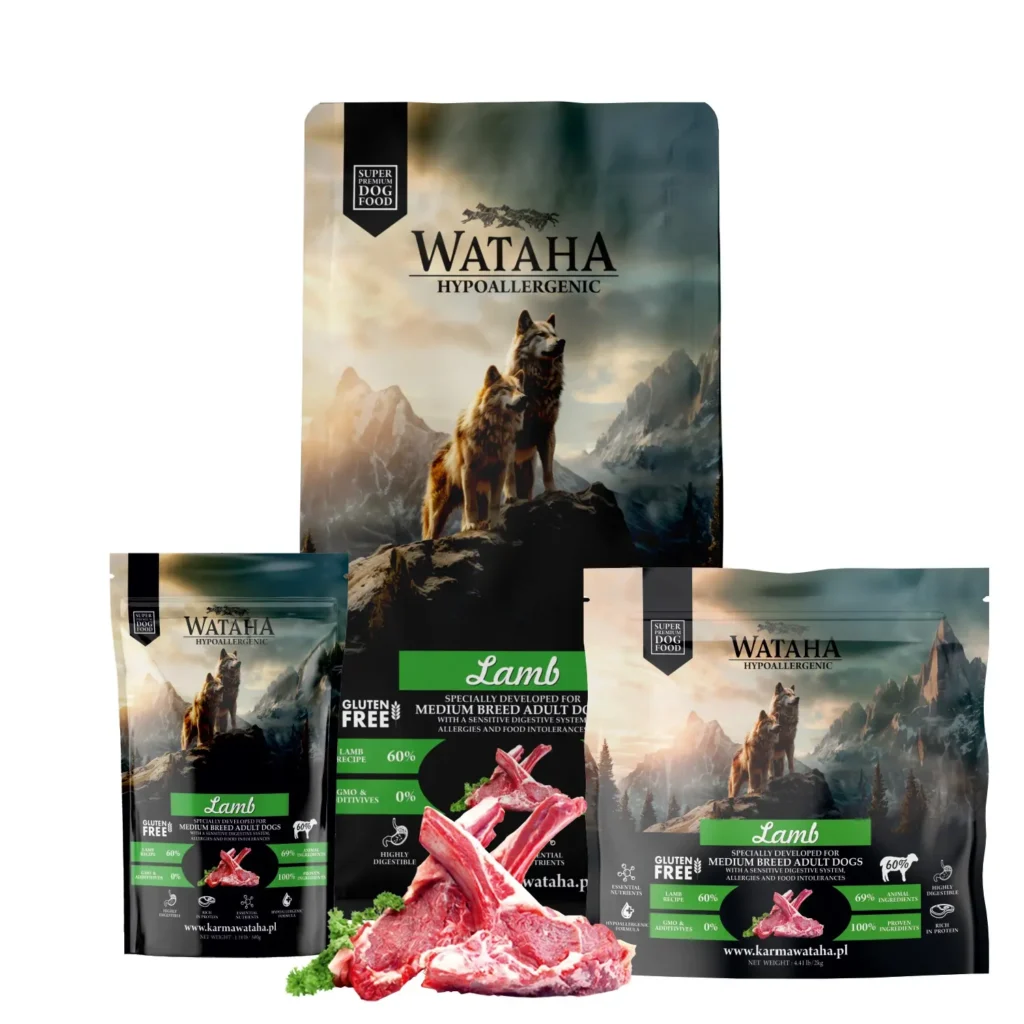 jagniecina medium grupa