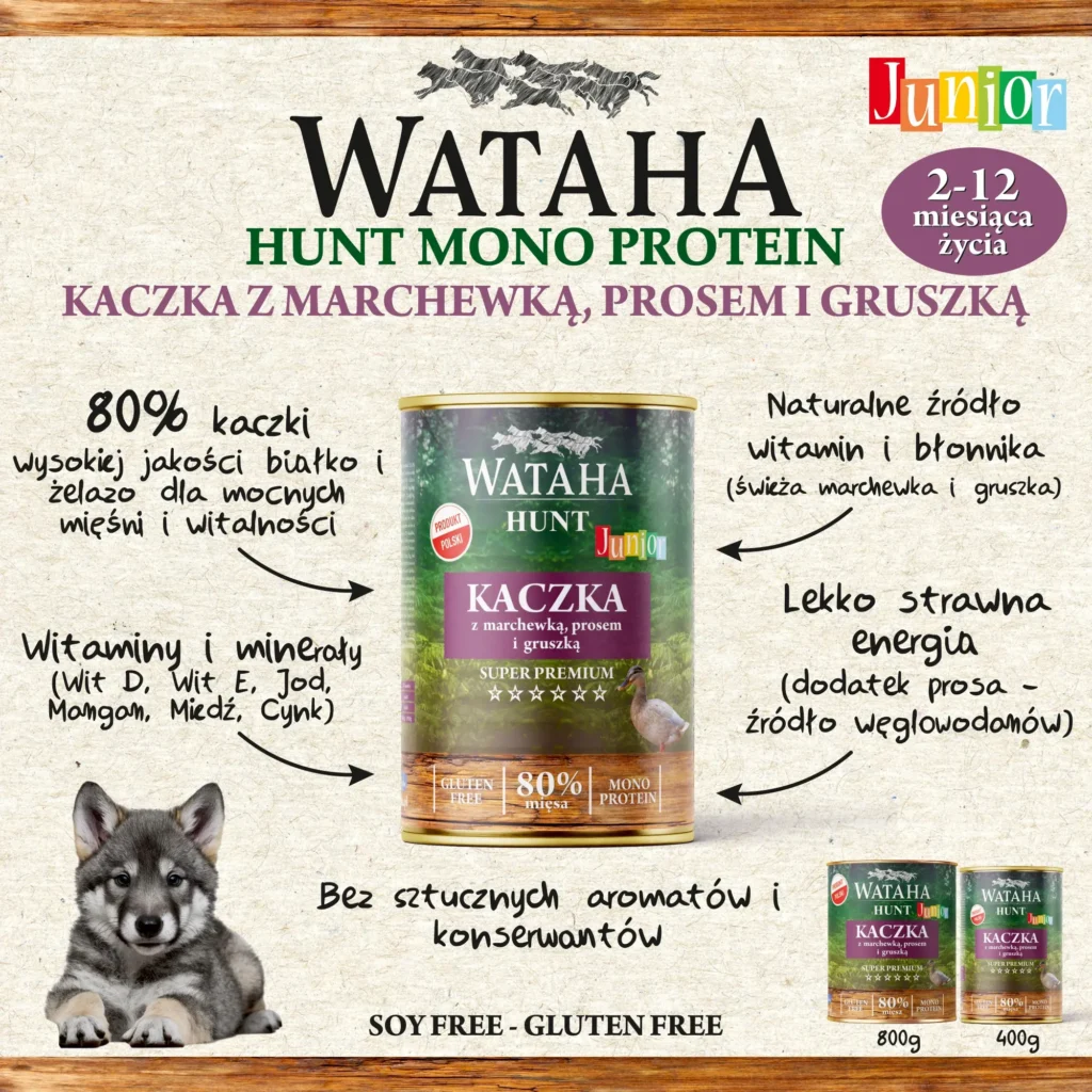 infografika hunt junior kaczka