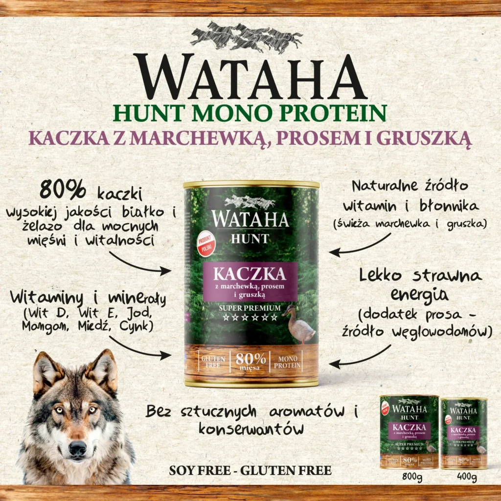 infografika hunt kaczka z prosem