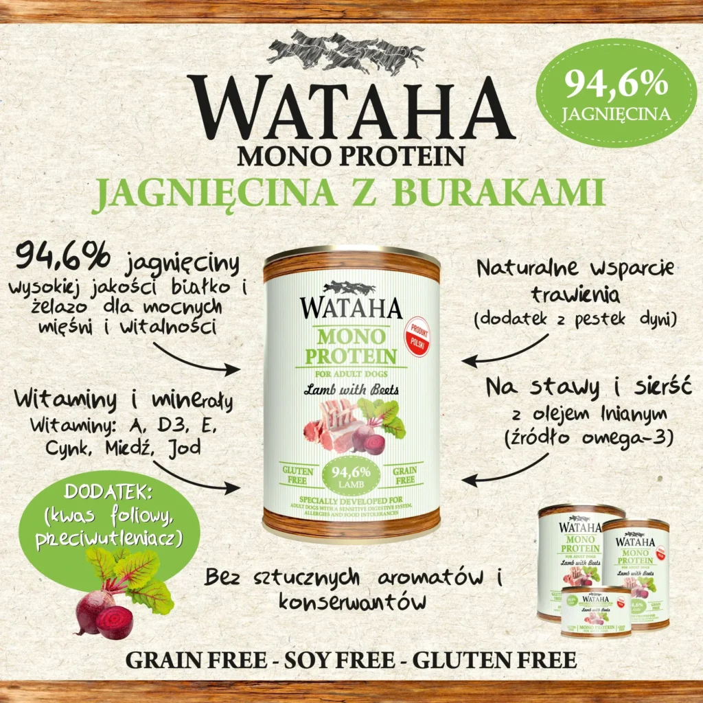 infografika jagniecina