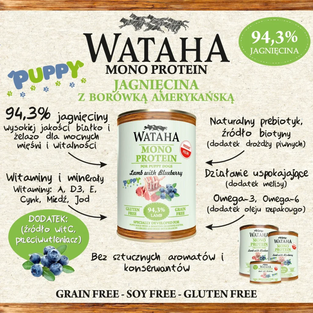 infografika jagniecina puppy