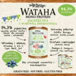 infografika jagniecina puppy