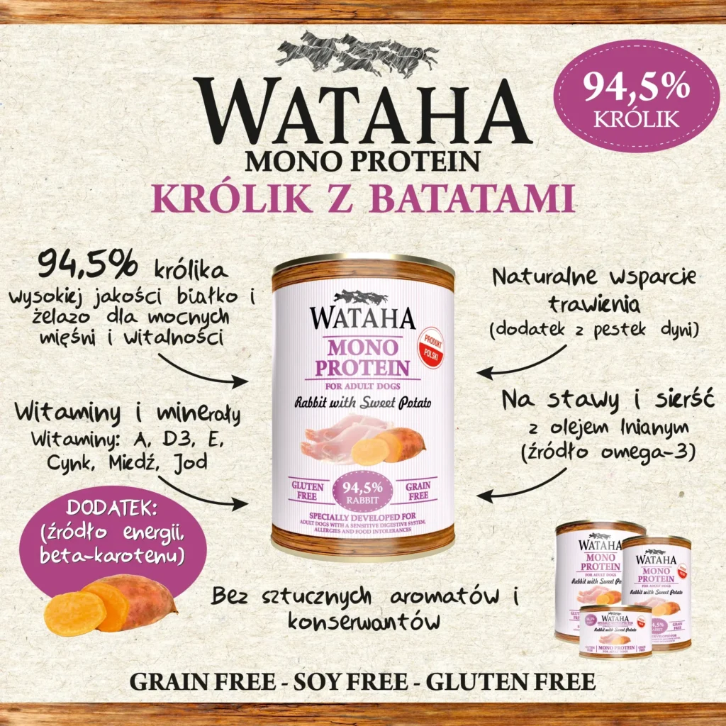 infografika krolik