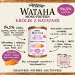 infografika krolik