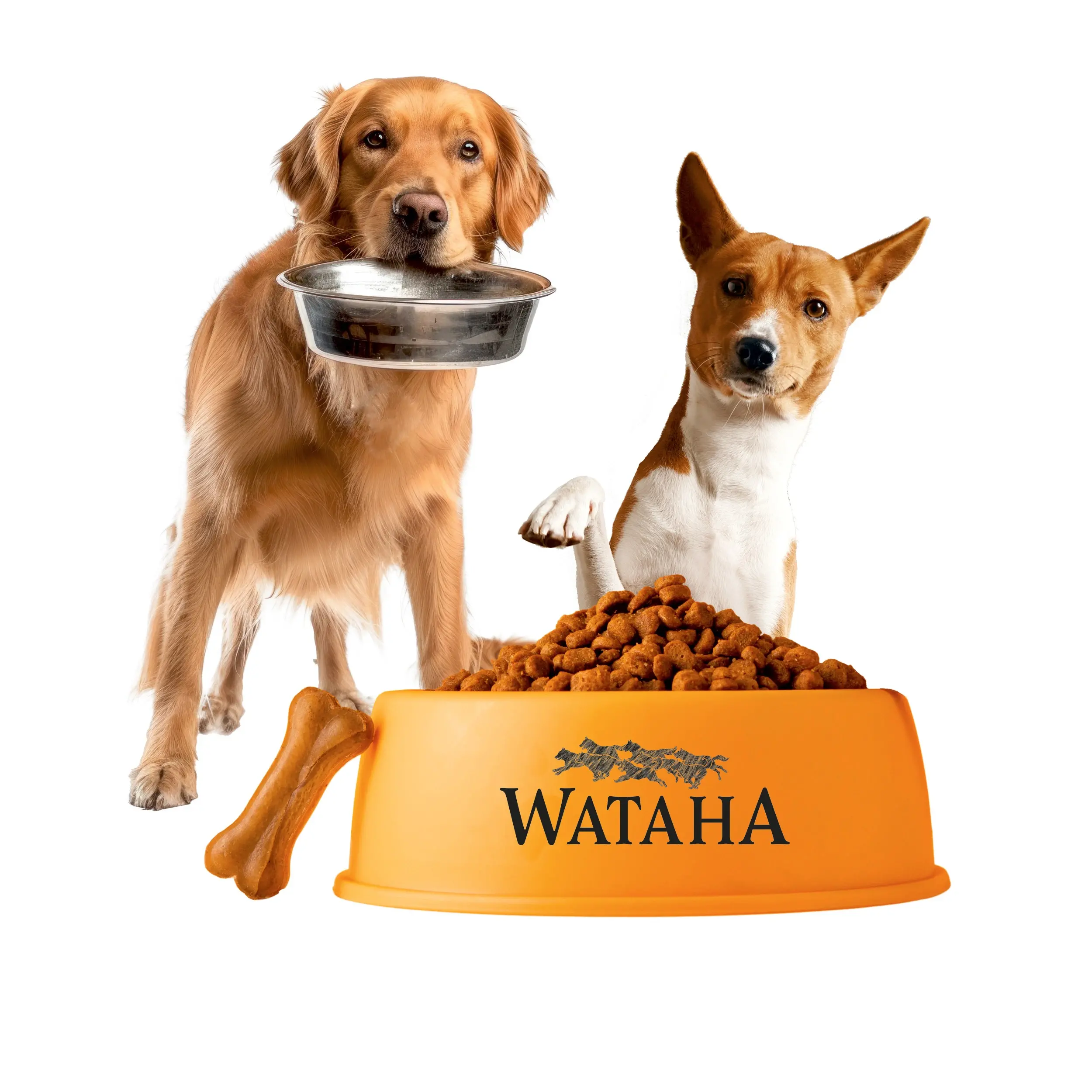 foto kategorie karmawataha-2