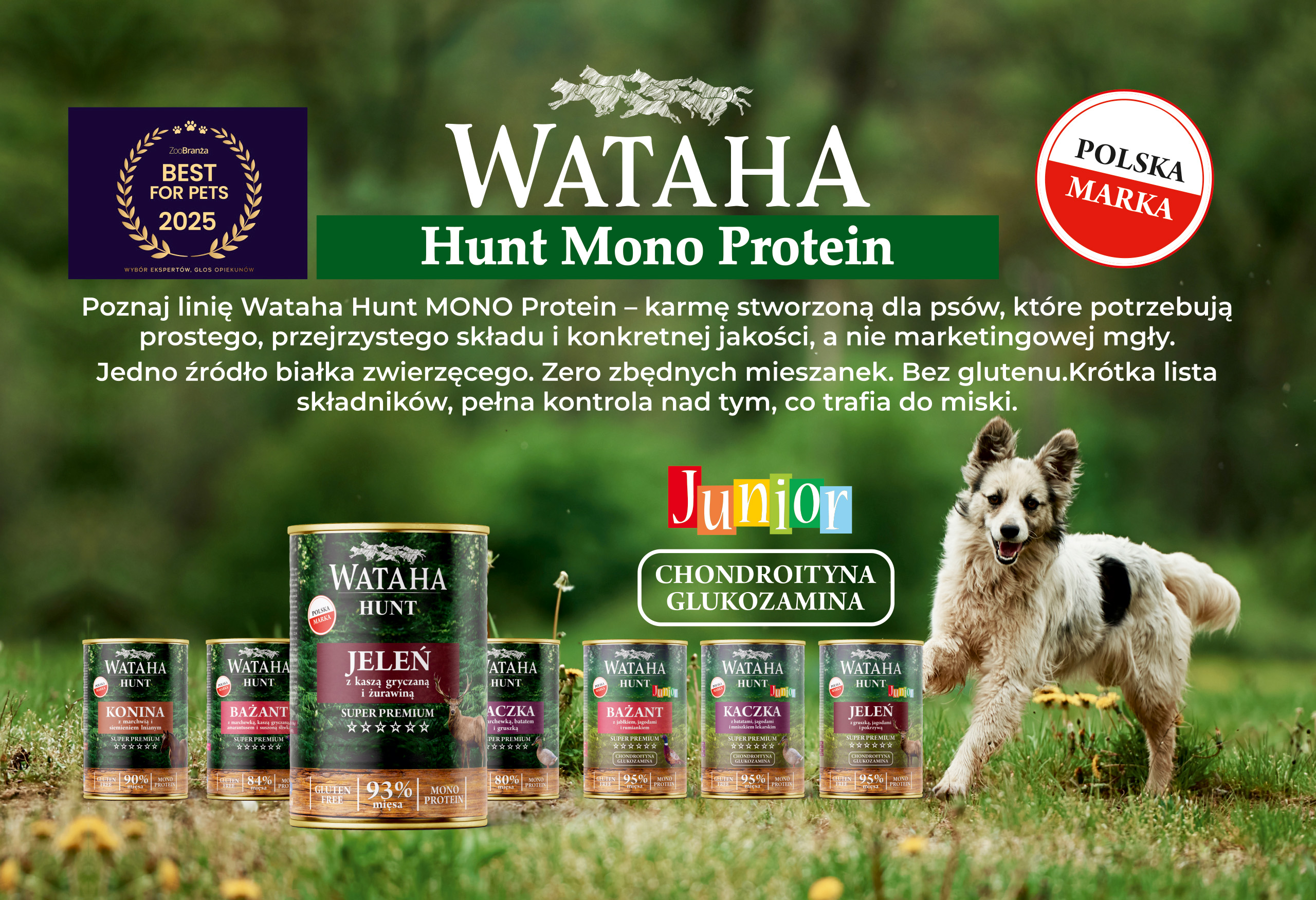 hunt baner-1